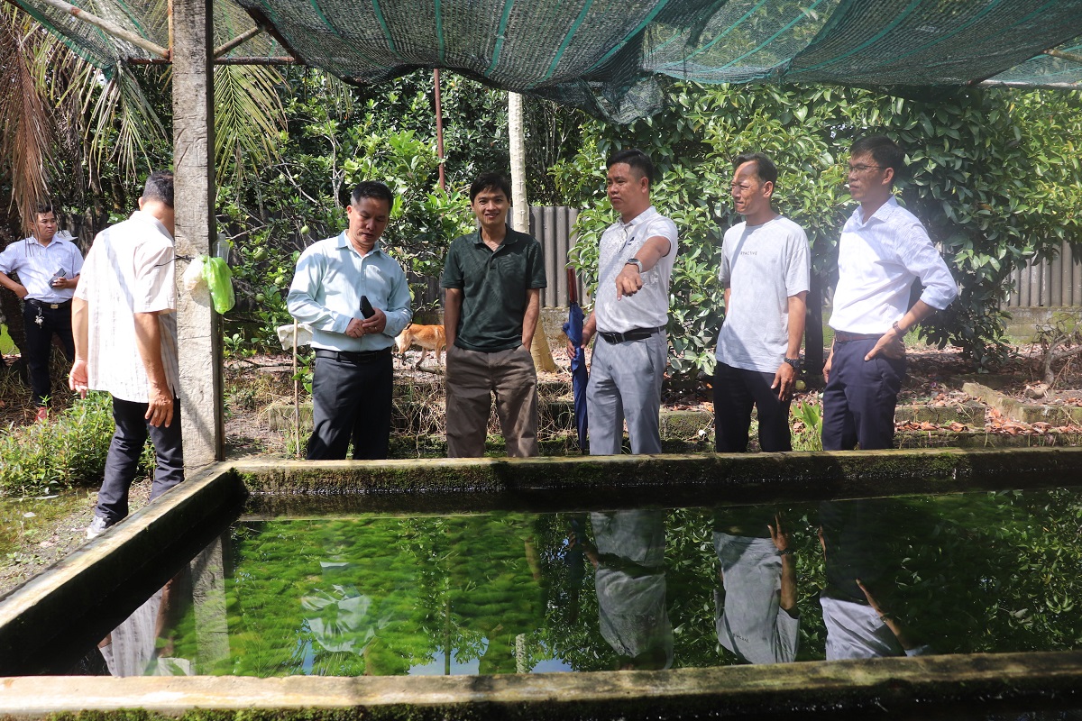 Bình Mỹ tìm lời giải cho bài toán du lịch cộng đồng xanh và bền vững tại TP.HCM - 2