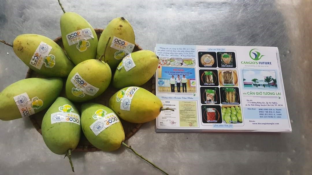 Chương trình OCOP TP.HCM: Vượt xa mục tiêu số lượng nhưng 'khát' sản phẩm 5 sao - 1