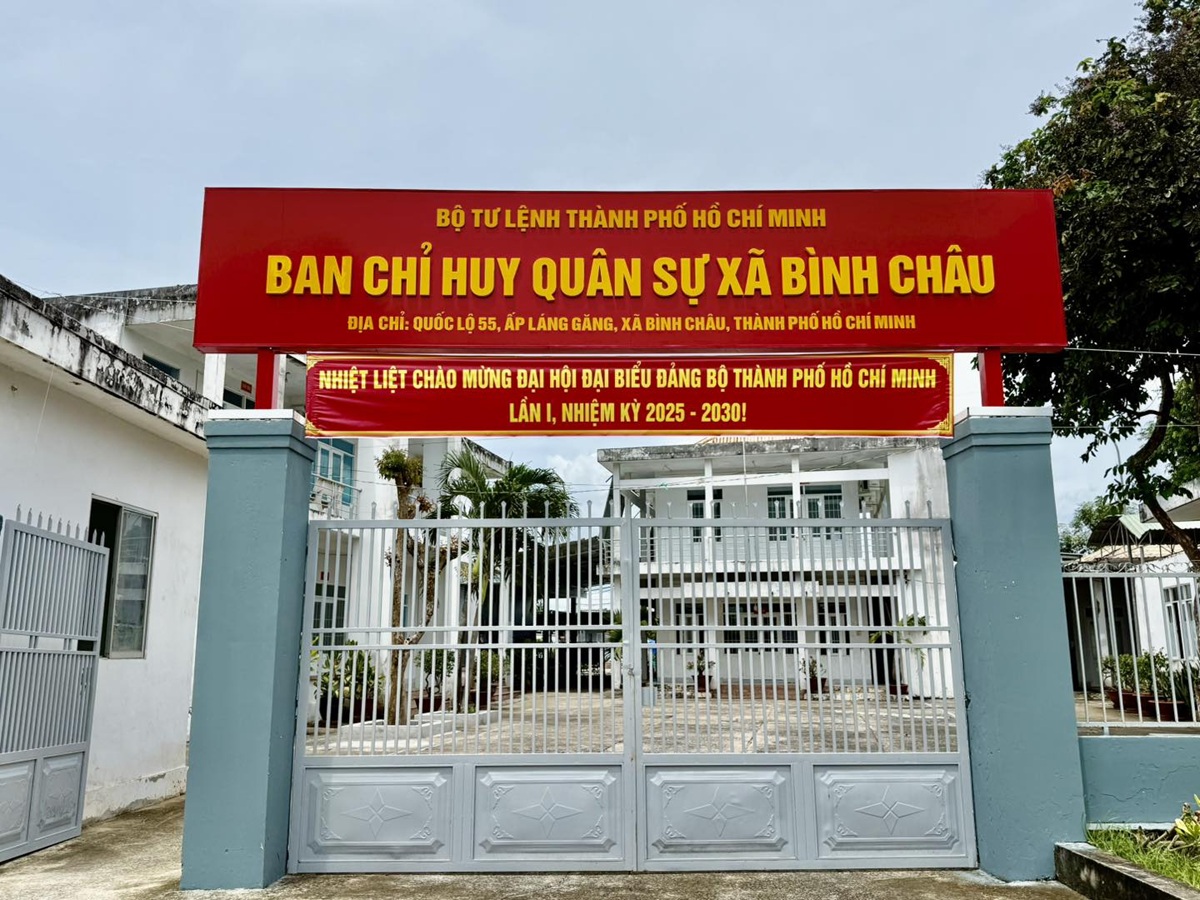 tp.hcm bung sang trong sac do, rop troi co hoa chao mung dai hoi dai bieu dang bo - 5