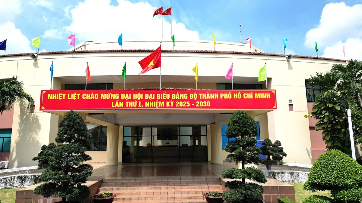 tp.hcm bung sang trong sac do, rop troi co hoa chao mung dai hoi dai bieu dang bo - 3