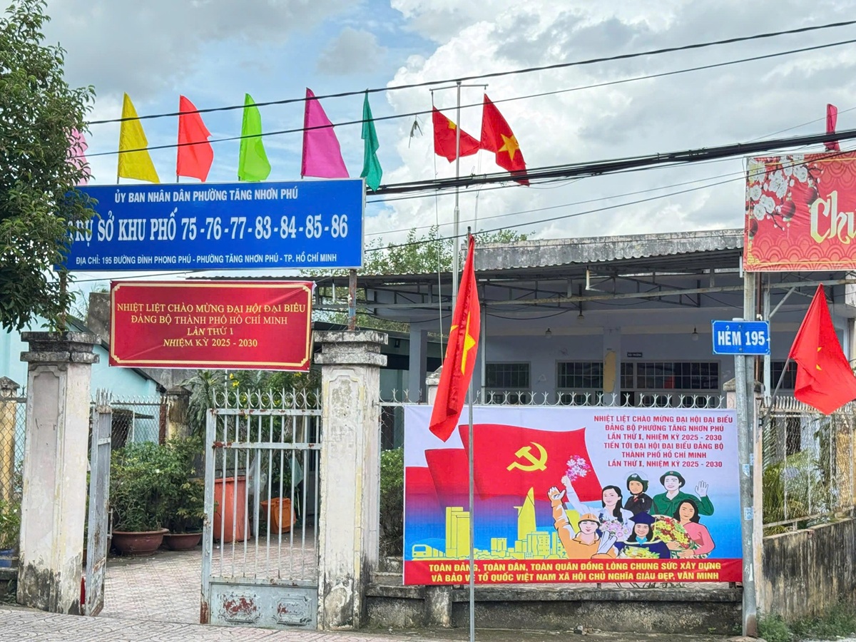 tp.hcm bung sang trong sac do, rop troi co hoa chao mung dai hoi dai bieu dang bo - 9