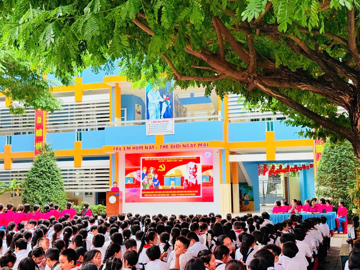 tp.hcm bung sang trong sac do, rop troi co hoa chao mung dai hoi dai bieu dang bo - 12