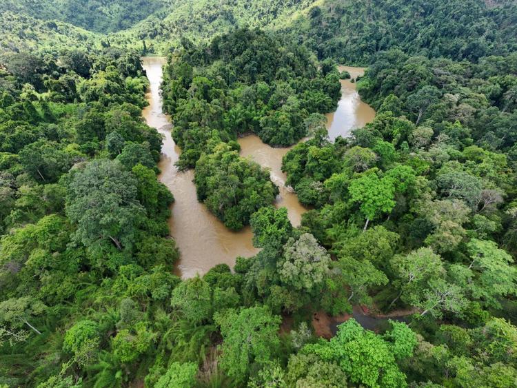 Vườn quốc gia Cát Tiên nhận được nhiều giải thưởng danh giá