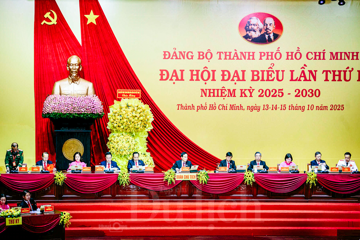 TP.HCM chốt nhân sự khóa mới, ông Võ Văn Dũng tiếp tục làm Chủ nhiệm Ủy ban Kiểm tra Thành ủy - 1