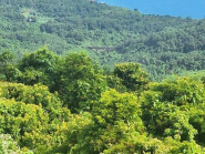 Huế thành lập khu bảo vệ cảnh quan Bắc Hải Vân