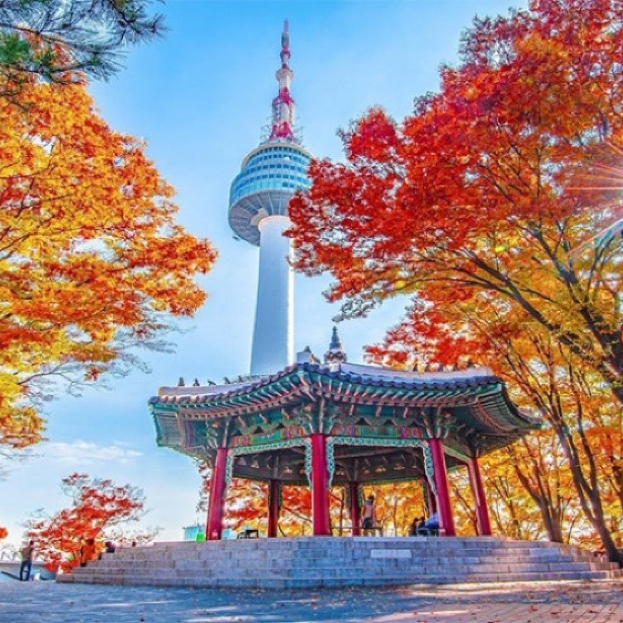  - Tour hot nhất mùa thu 2025: Nhật Bản & Hàn Quốc