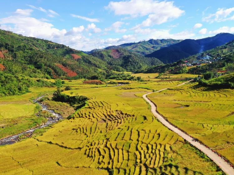 Di sản ruộng bậc thang độc đáo hấp dẫn du khách đến với Măng Ri