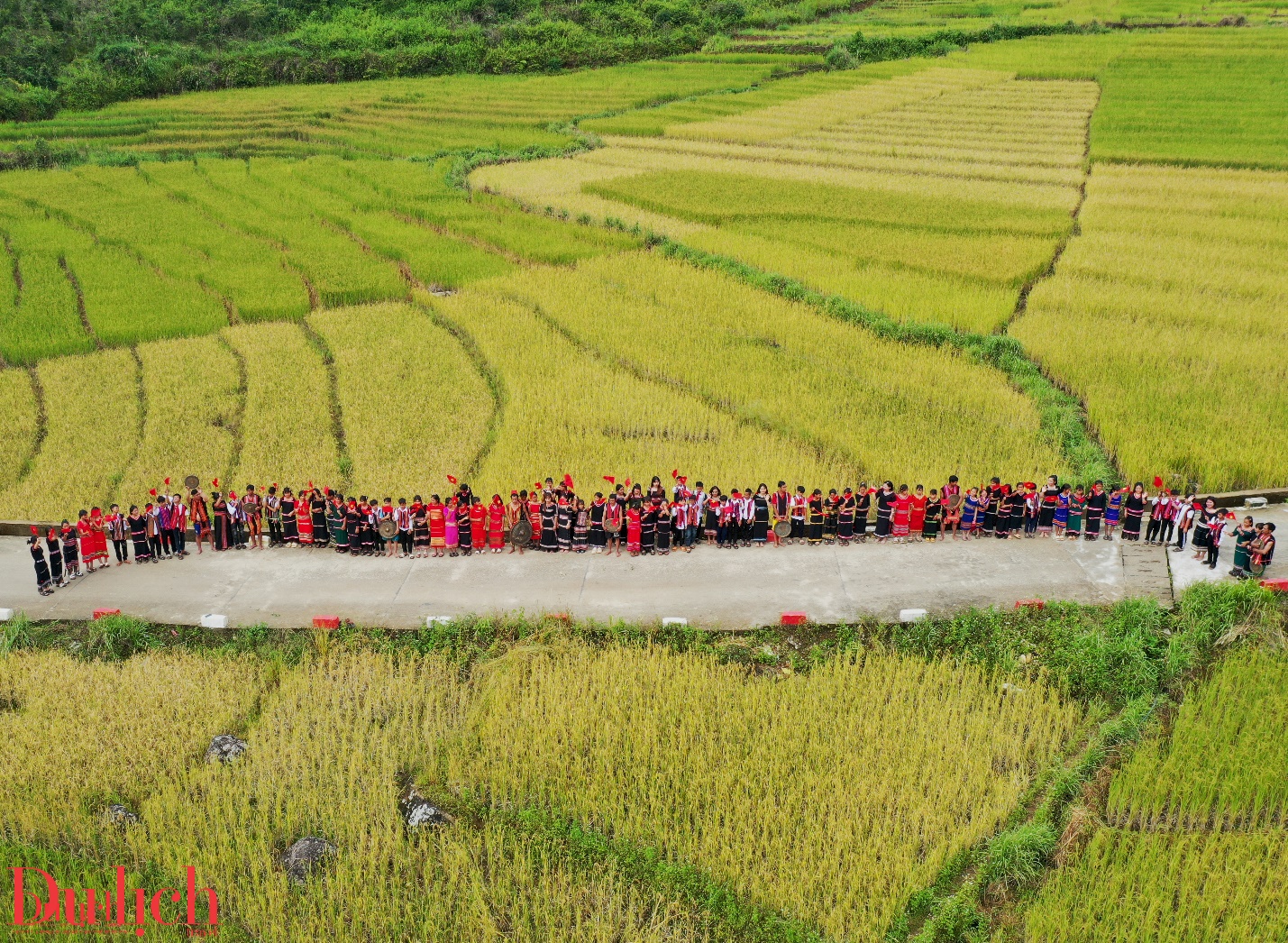 di san ruong bac thang doc dao hap dan du khach den voi mang ri - 9