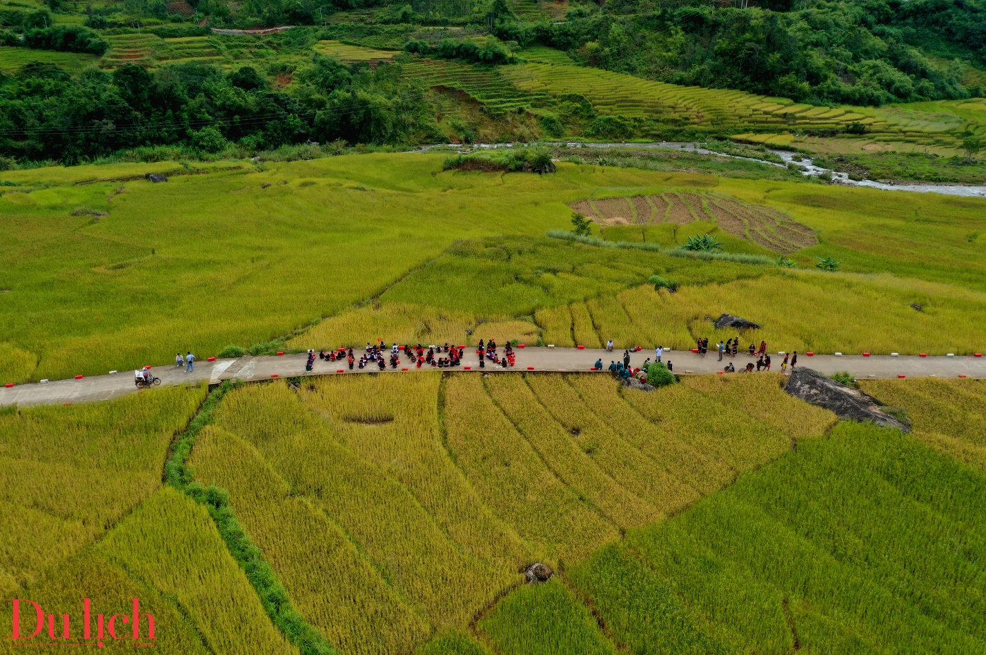 di san ruong bac thang doc dao hap dan du khach den voi mang ri - 5