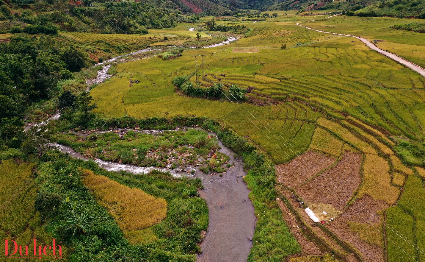 di san ruong bac thang doc dao hap dan du khach den voi mang ri - 12