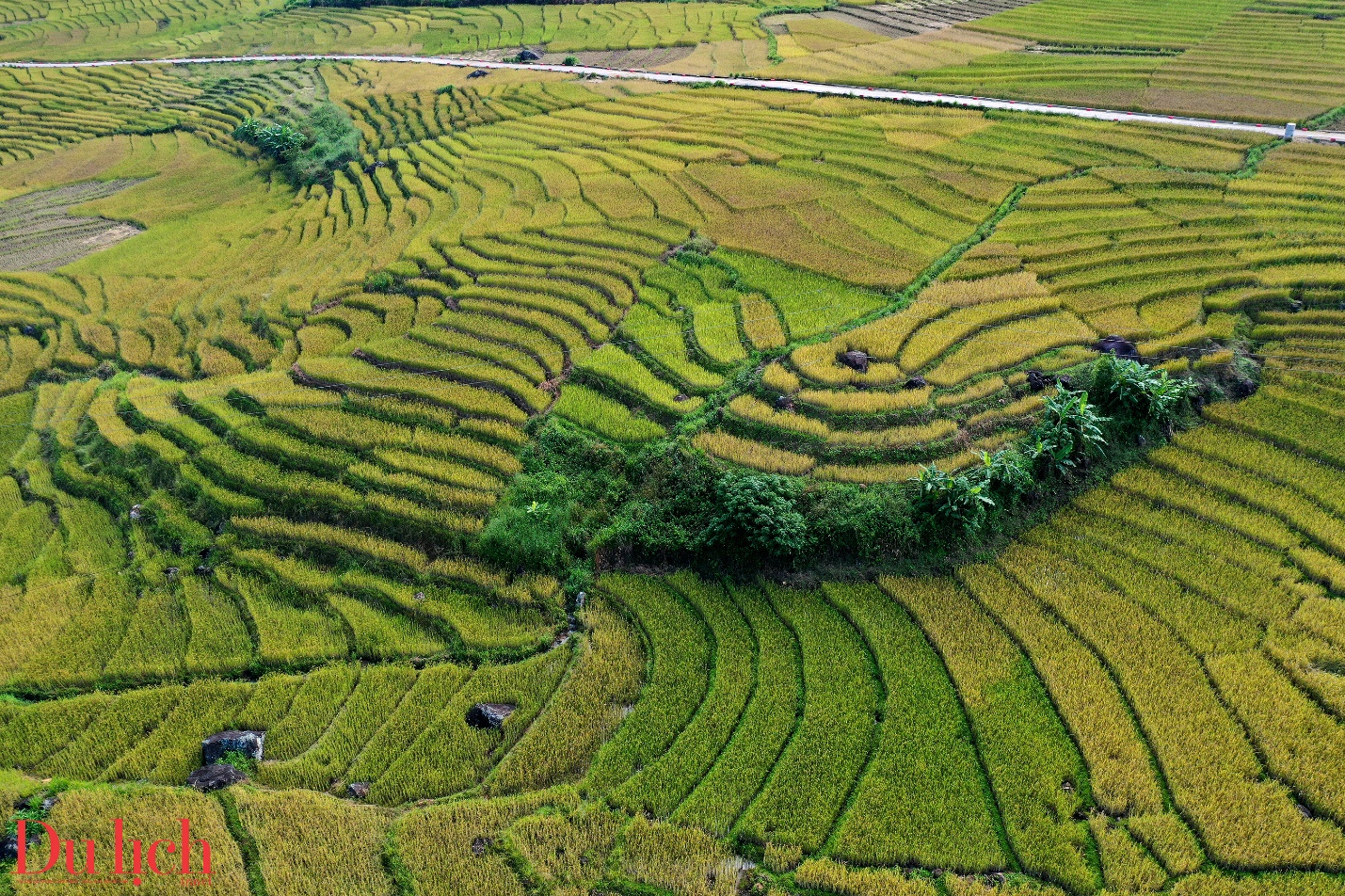di san ruong bac thang doc dao hap dan du khach den voi mang ri - 21