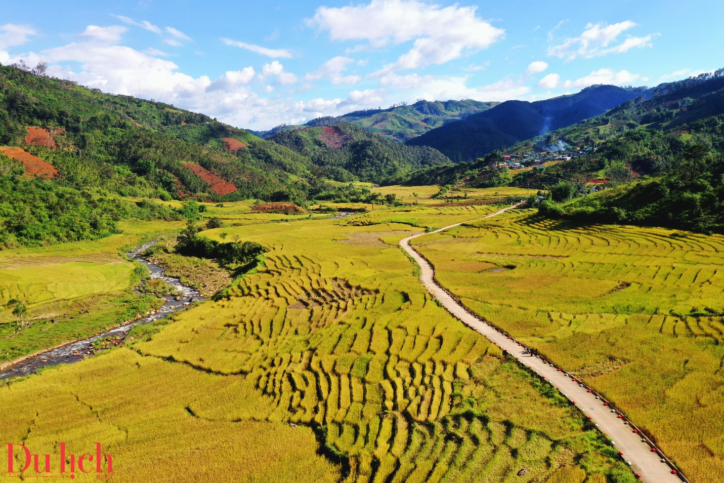 di san ruong bac thang doc dao hap dan du khach den voi mang ri - 19