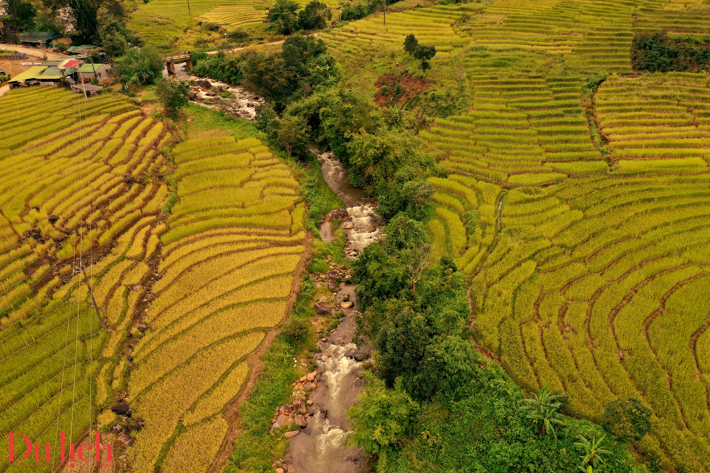 di san ruong bac thang doc dao hap dan du khach den voi mang ri - 13