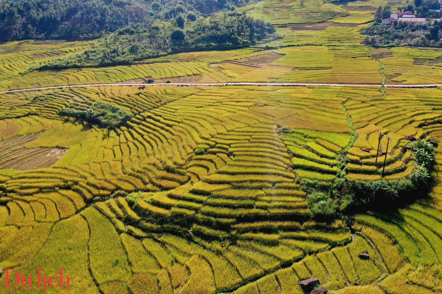 di san ruong bac thang doc dao hap dan du khach den voi mang ri - 20