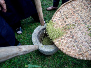 “Cháy hàng” cốm trong Lễ hội Cốm