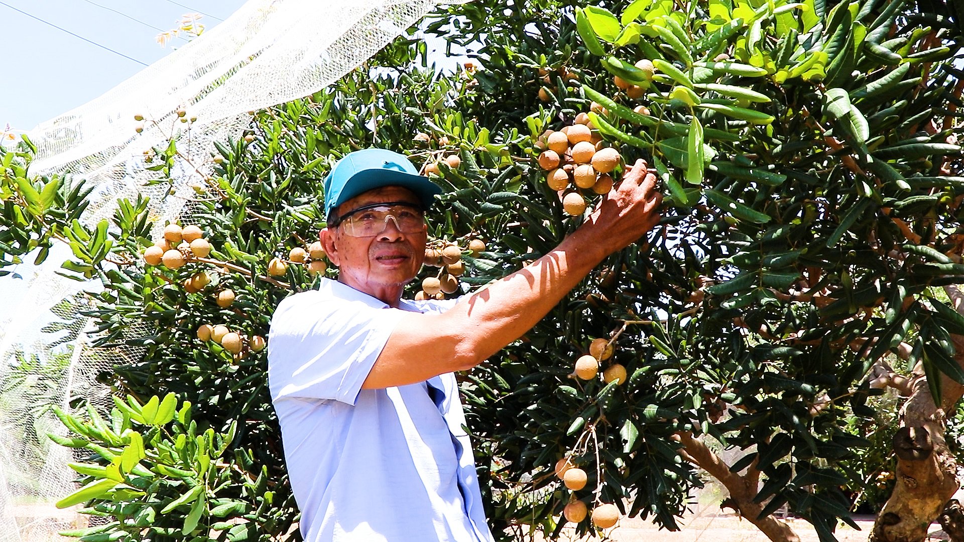 Long Hải (TP.HCM): Tăng hiệu quả chính sách nông thôn bằng mô hình liên kết, du lịch - 2