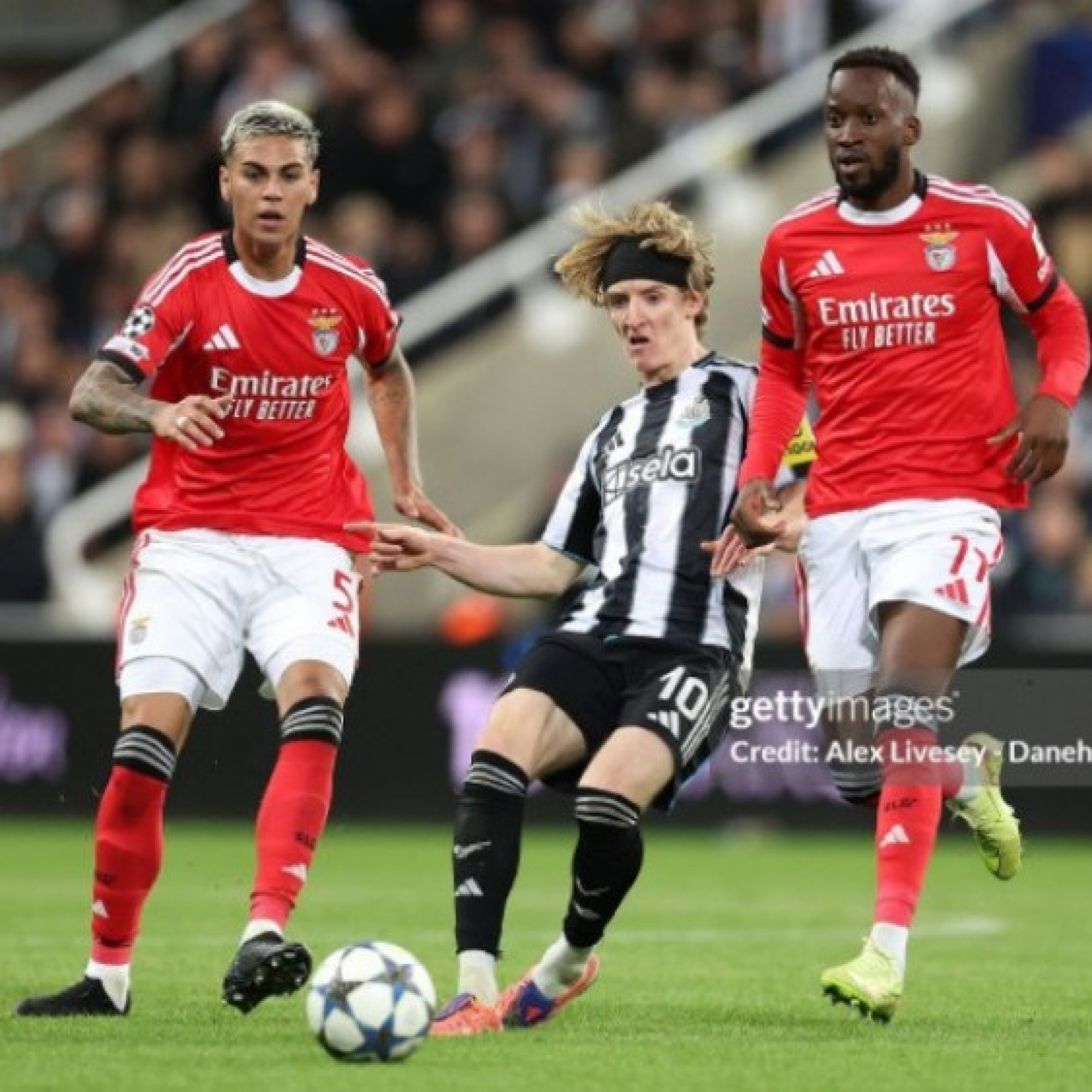  - Video bóng đá Newcastle - Benfica: Đội Mourinho lại nhận "trái đắng" (Cúp C1)