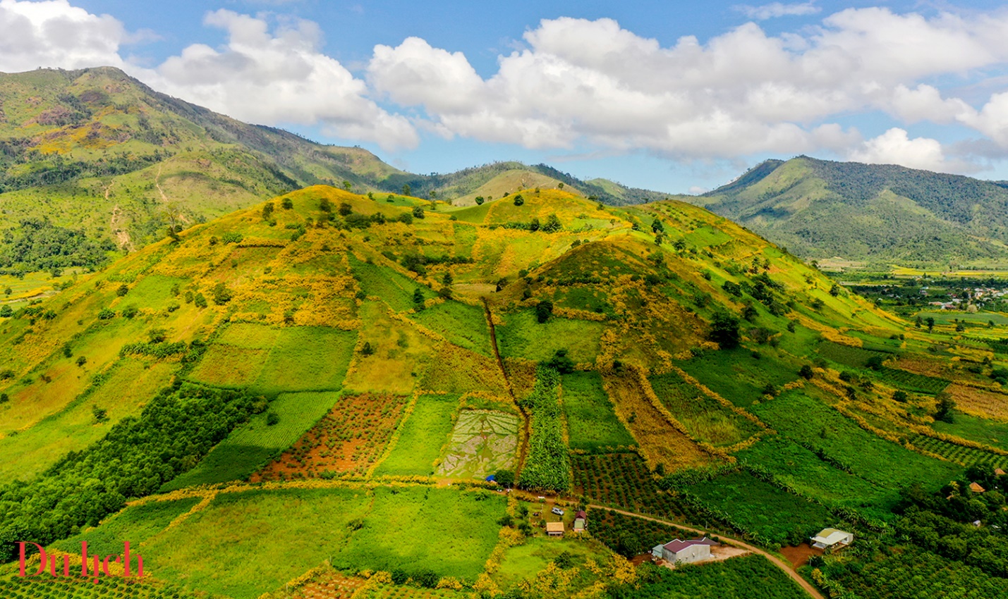 mua hoa da quy tuyet dep tren ‘mieng nui lua kep’ chudang ya - 1