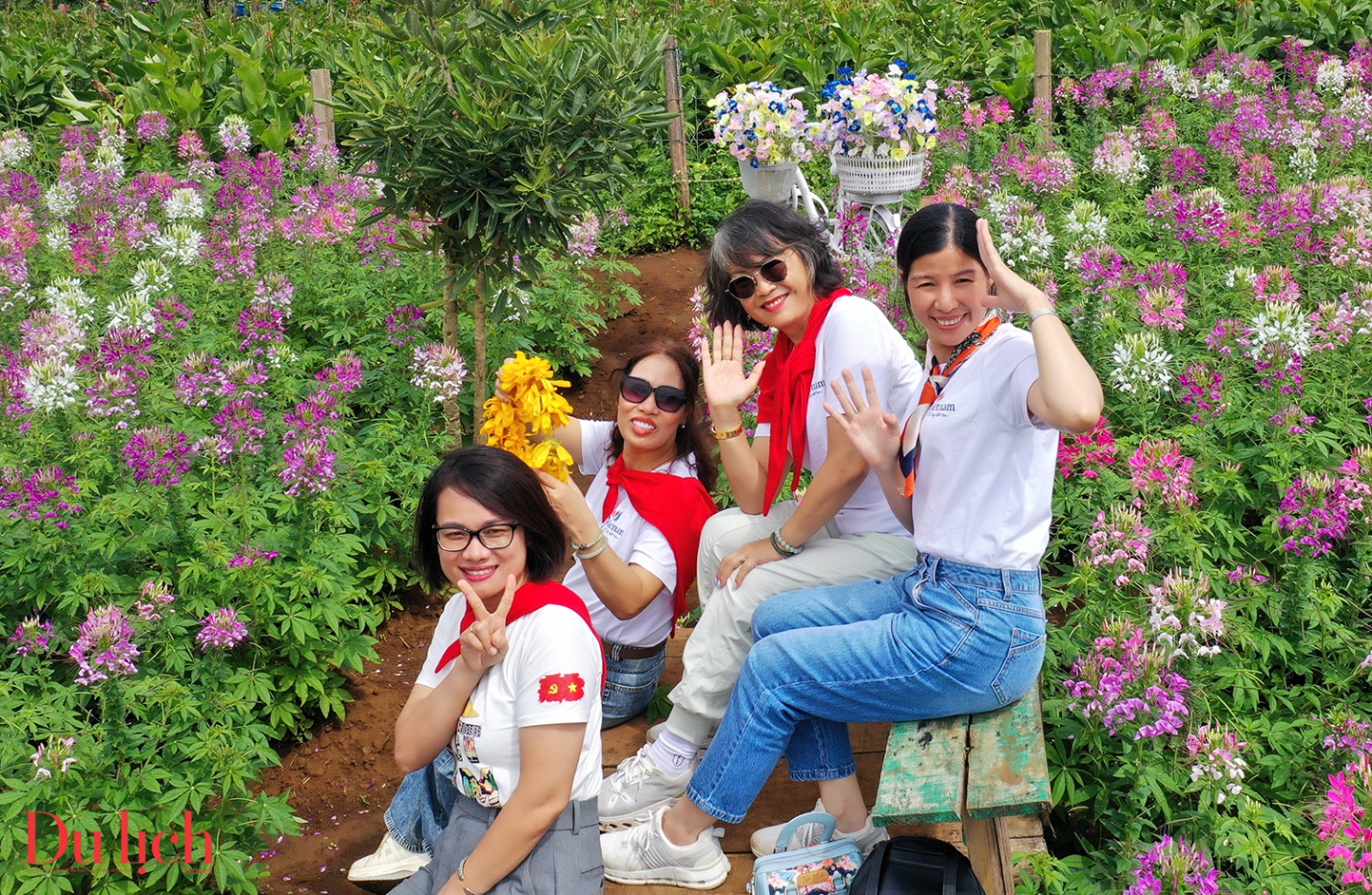 mua hoa da quy tuyet dep tren ‘mieng nui lua kep’ chudang ya - 9