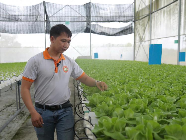 TP.HCM tăng cường chính sách khuyến khích phát triển ngành nghề nông thôn