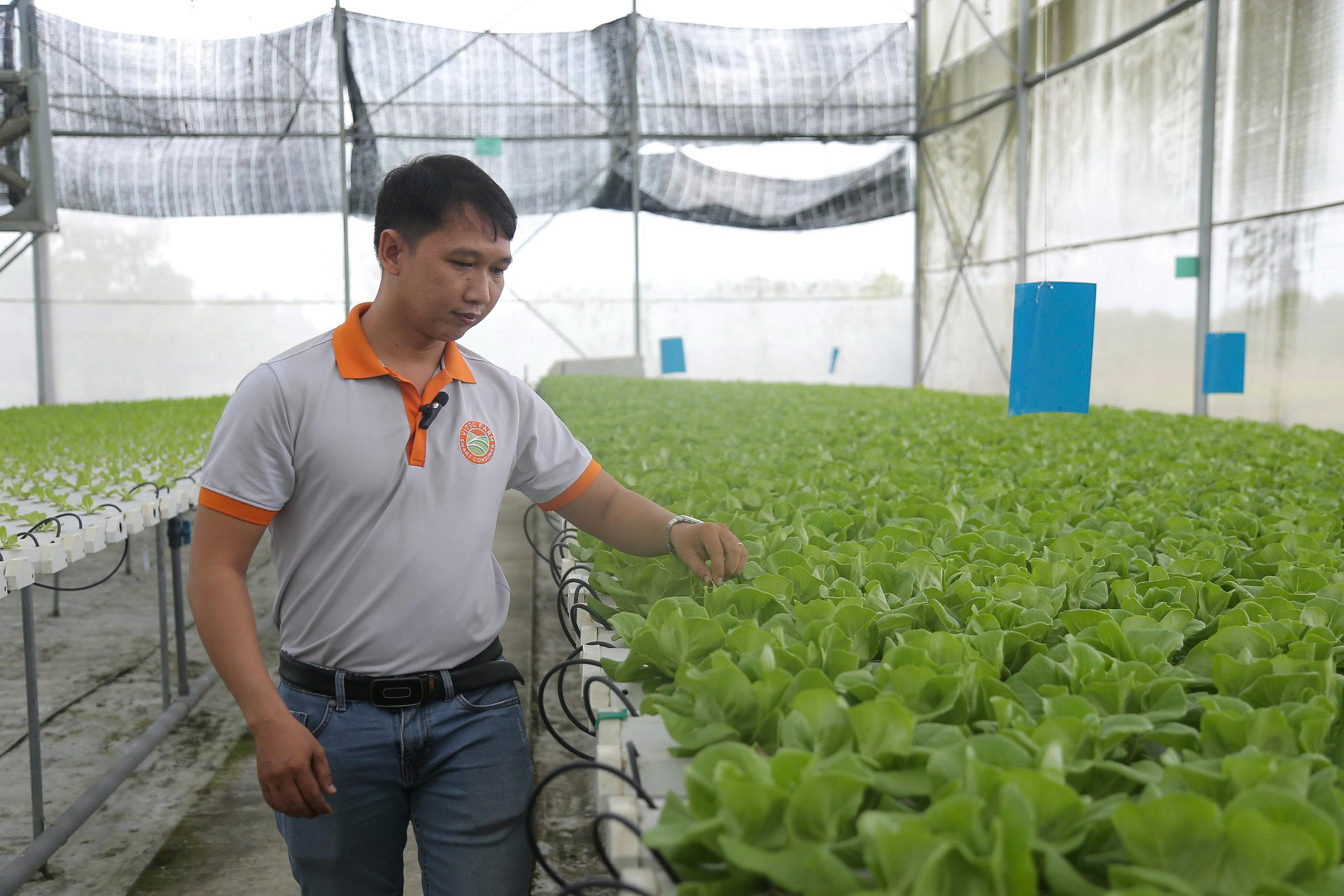 TP.HCM tăng cường chính sách khuyến khích phát triển ngành nghề nông thôn - 1