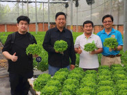  - TP.HCM: Cắt giảm 30% thủ tục, chuyển đổi số để tăng hiệu quả chính sách nông thôn