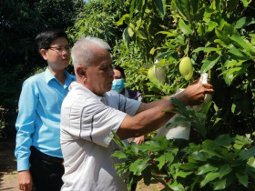  - TP.HCM quyết tâm nâng chất đào tạo nghề nông thôn theo hướng hiện đại