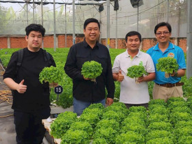  - TP.HCM: Cắt giảm 30% thủ tục, chuyển đổi số để tăng hiệu quả chính sách nông thôn