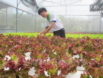  - Nhãn hiệu ‘Phát thải thấp’, tín chỉ carbon: Giải pháp mới hỗ trợ nông nghiệp TP.HCM