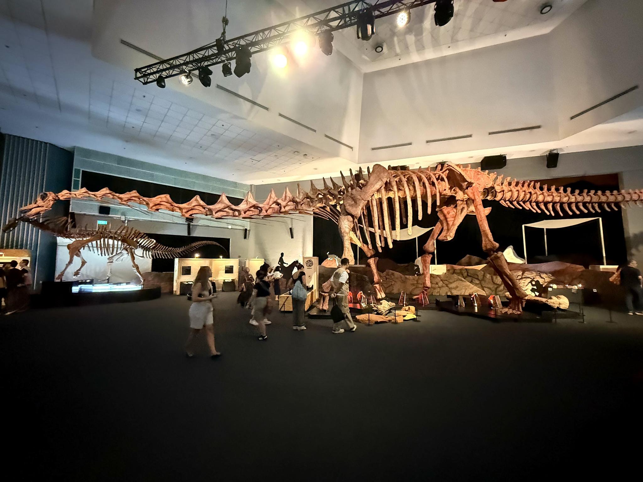 Điểm danh loạt sự kiện giải trí, trải nghiệm ”chất lừ” cuối năm ở Singapore - 4