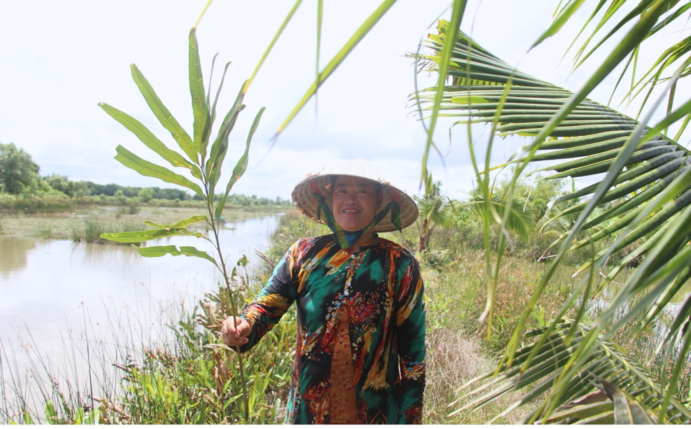 Thương nhớ chổi ráng miền Tây - 4