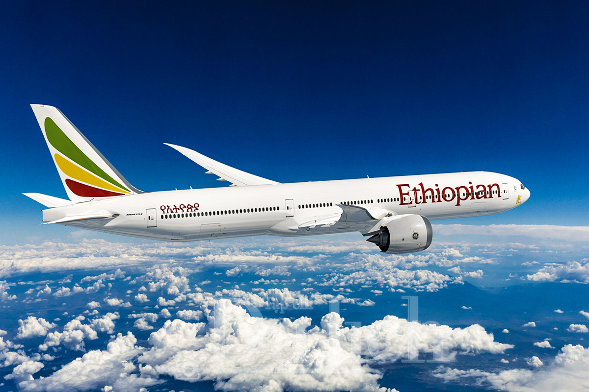 Châu Phi thẳng tiến: Du khách Việt kết nối xuyên lục địa cùng Ethiopian Airlines - 5