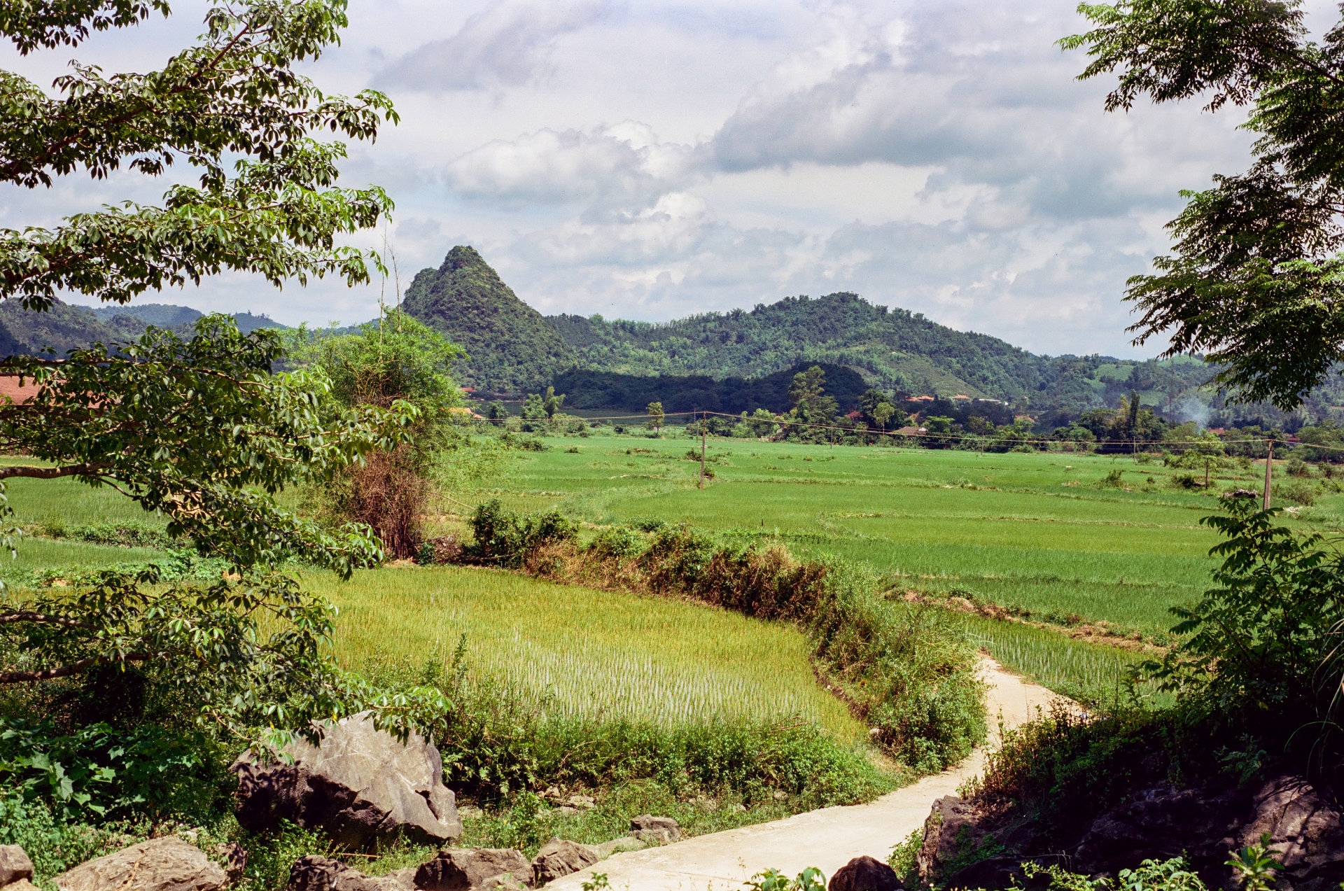 quynh son: ngoi lang tay 'khong danh doi ban sac' chinh phuc the gioi - 3