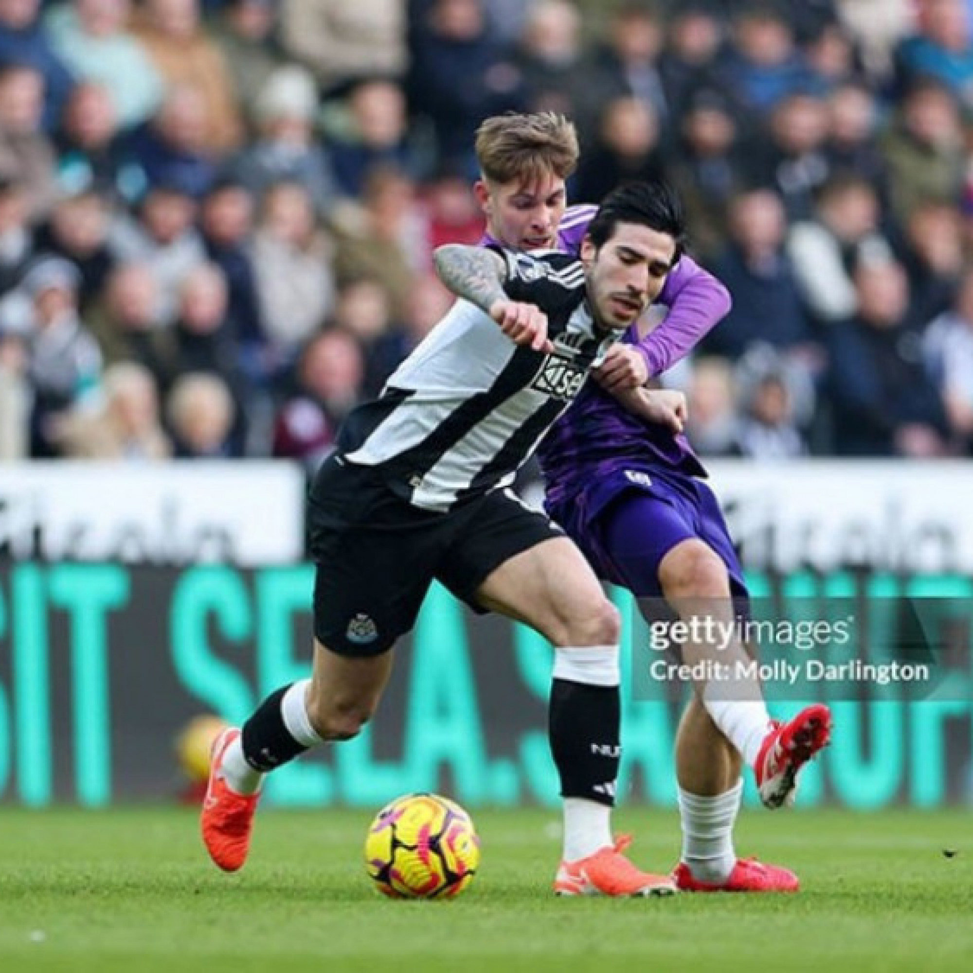 - Trực tiếp bóng đá Newcastle - Fulham: "Chích chòe" tiếp đà thăng hoa (Ngoại hạng Anh)