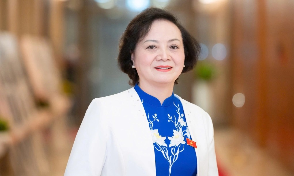 Bà Phạm Thị Thanh Trà và ông Hồ Quốc Dũng giữ chức Phó thủ tướng - 2