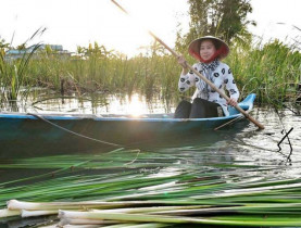 - Người phụ nữ góp hương sắc cho sản phẩm OCOP Cà Mau