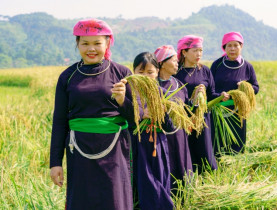 - Nghề làm cốm: Nét đẹp văn hóa truyền đời của người Tày ở Hợp Thành