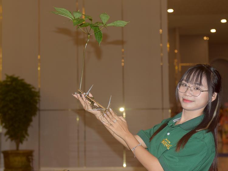 Lấy sâm Ngọc Linh - 'Quốc bảo của quốc gia' làm trụ cột phát triển du lịch bền vững.