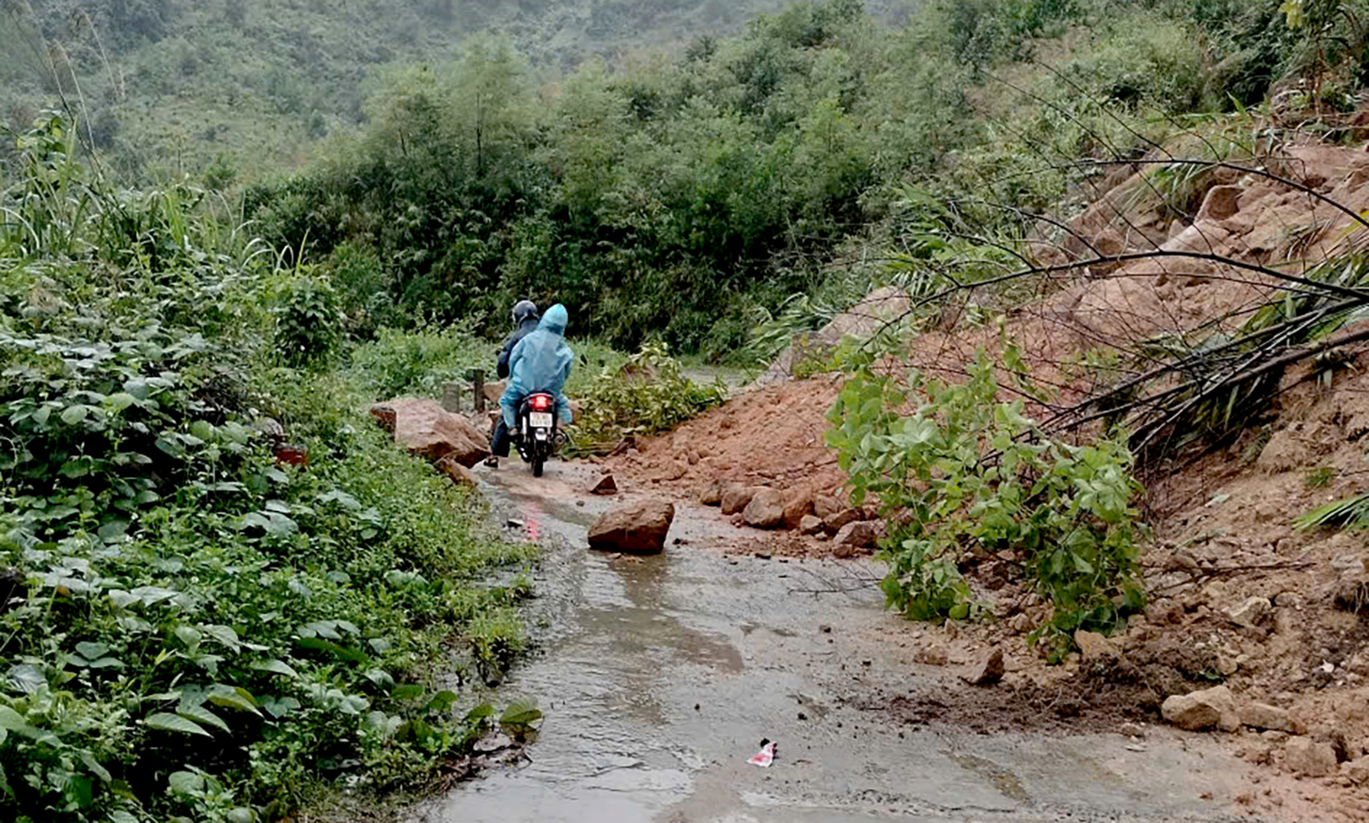 mua lon keo dai, quang ngai so tan khan cap hang tram nguoi ra khoi vung lo nui - 3
