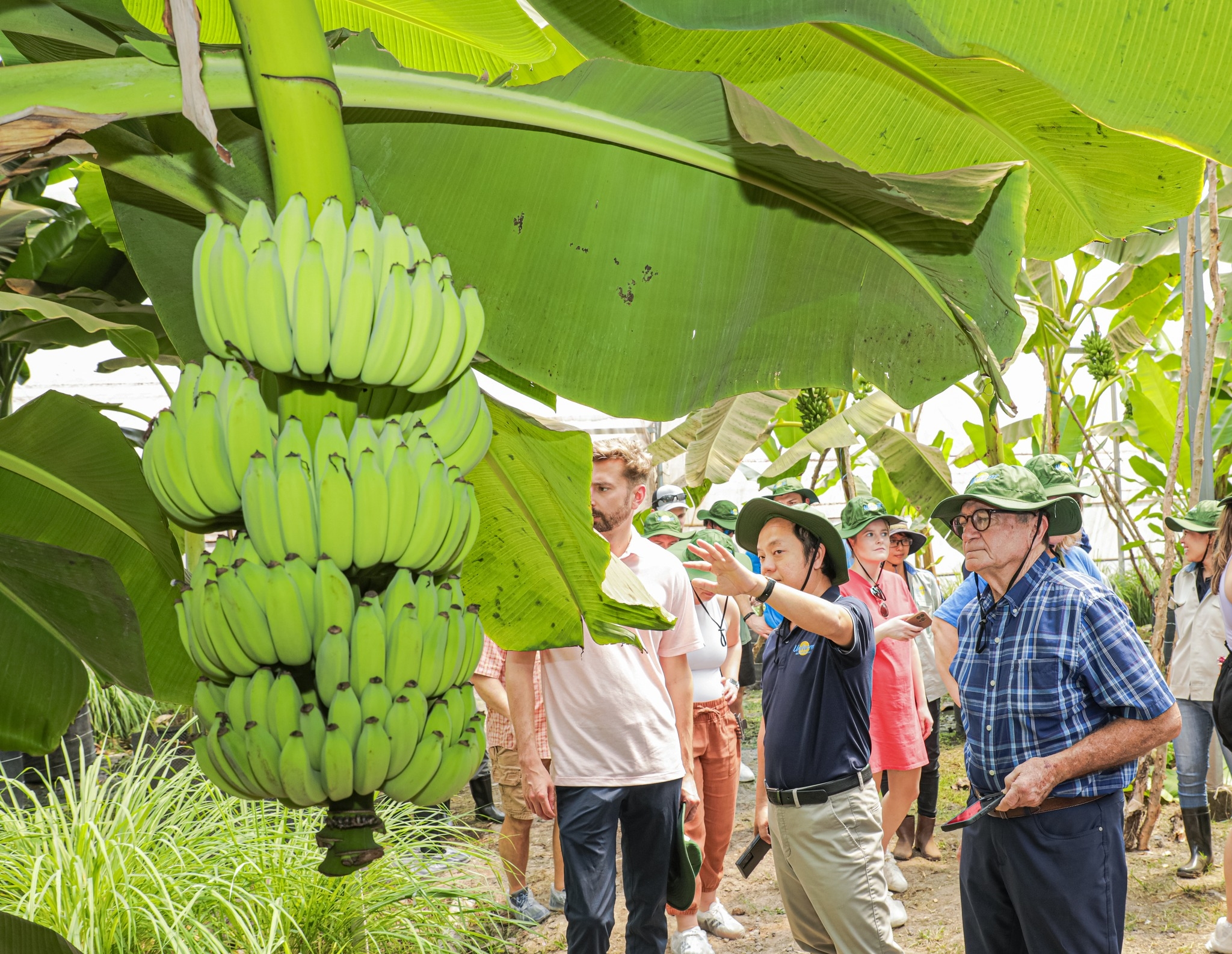Quy trình xuất khẩu chuẩn quốc tế trở thành 'đặc sản' du lịch nông thôn - 2