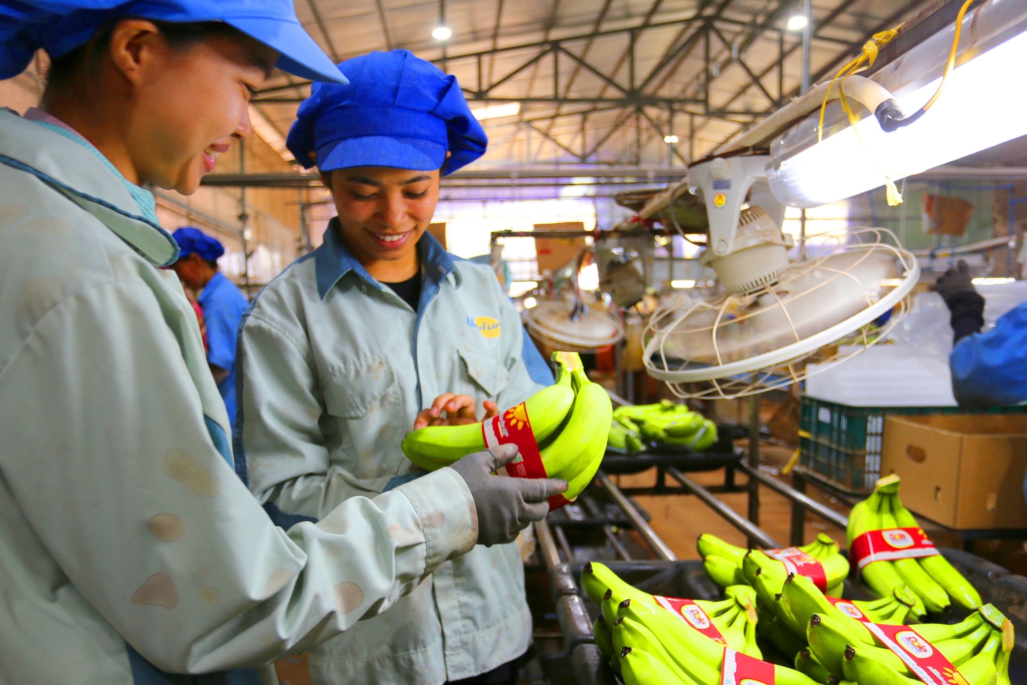 Quy trình xuất khẩu chuẩn quốc tế trở thành 'đặc sản' du lịch nông thôn - 6