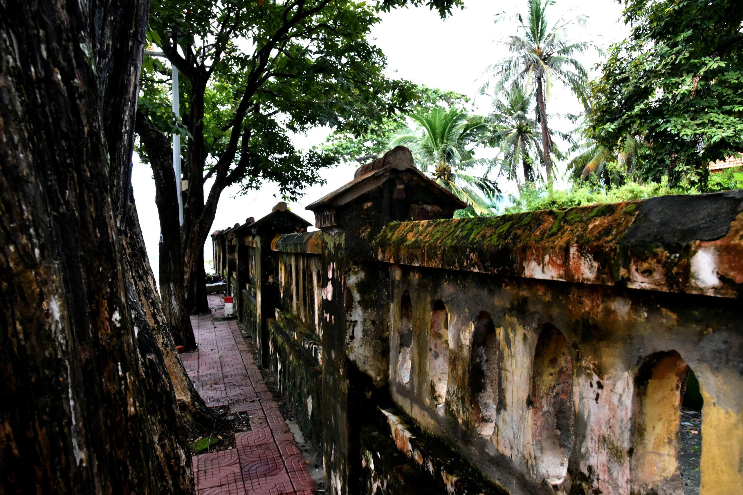 hanh huong ve dao ngoc giua trung khoi - 4