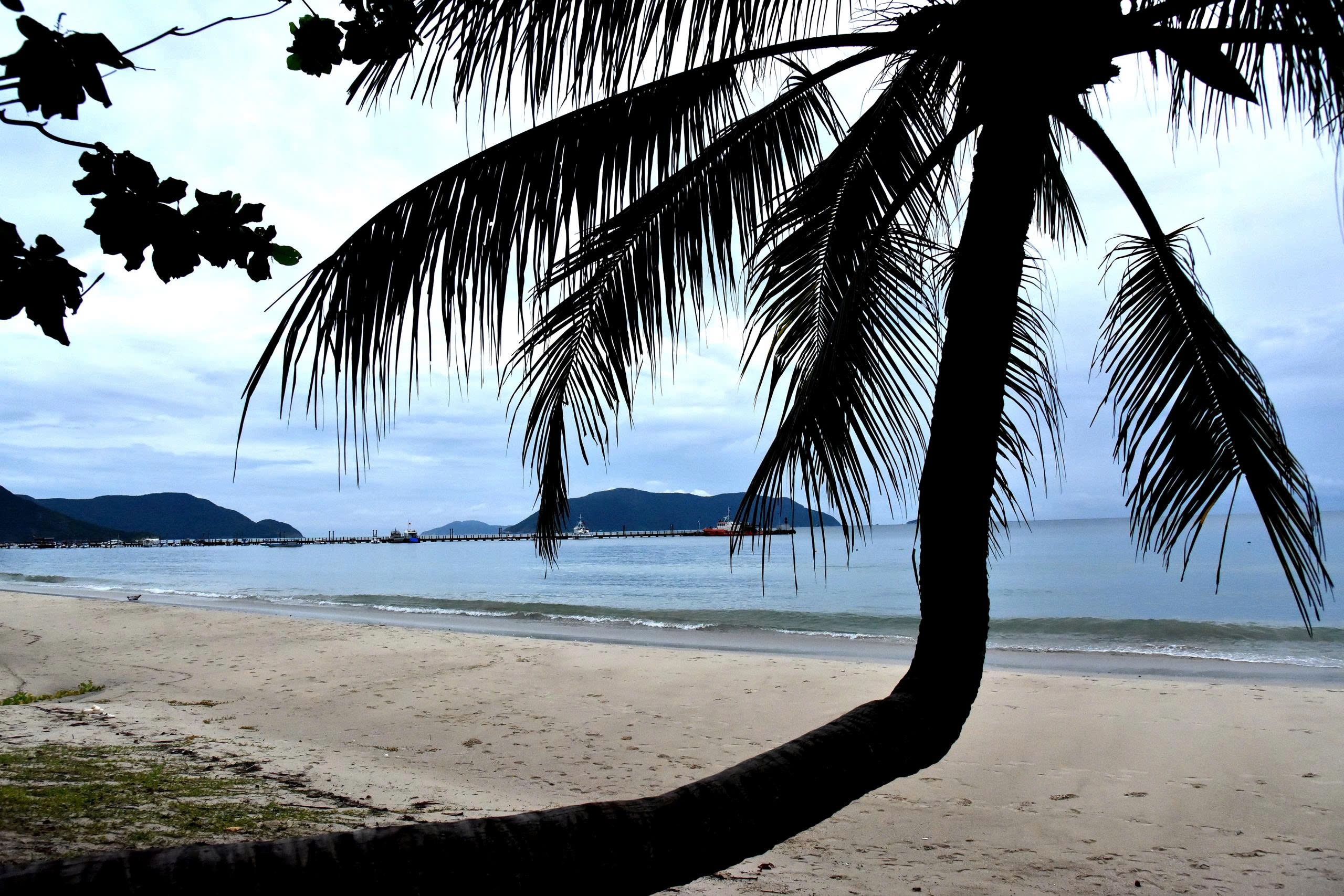 hanh huong ve dao ngoc giua trung khoi - 5