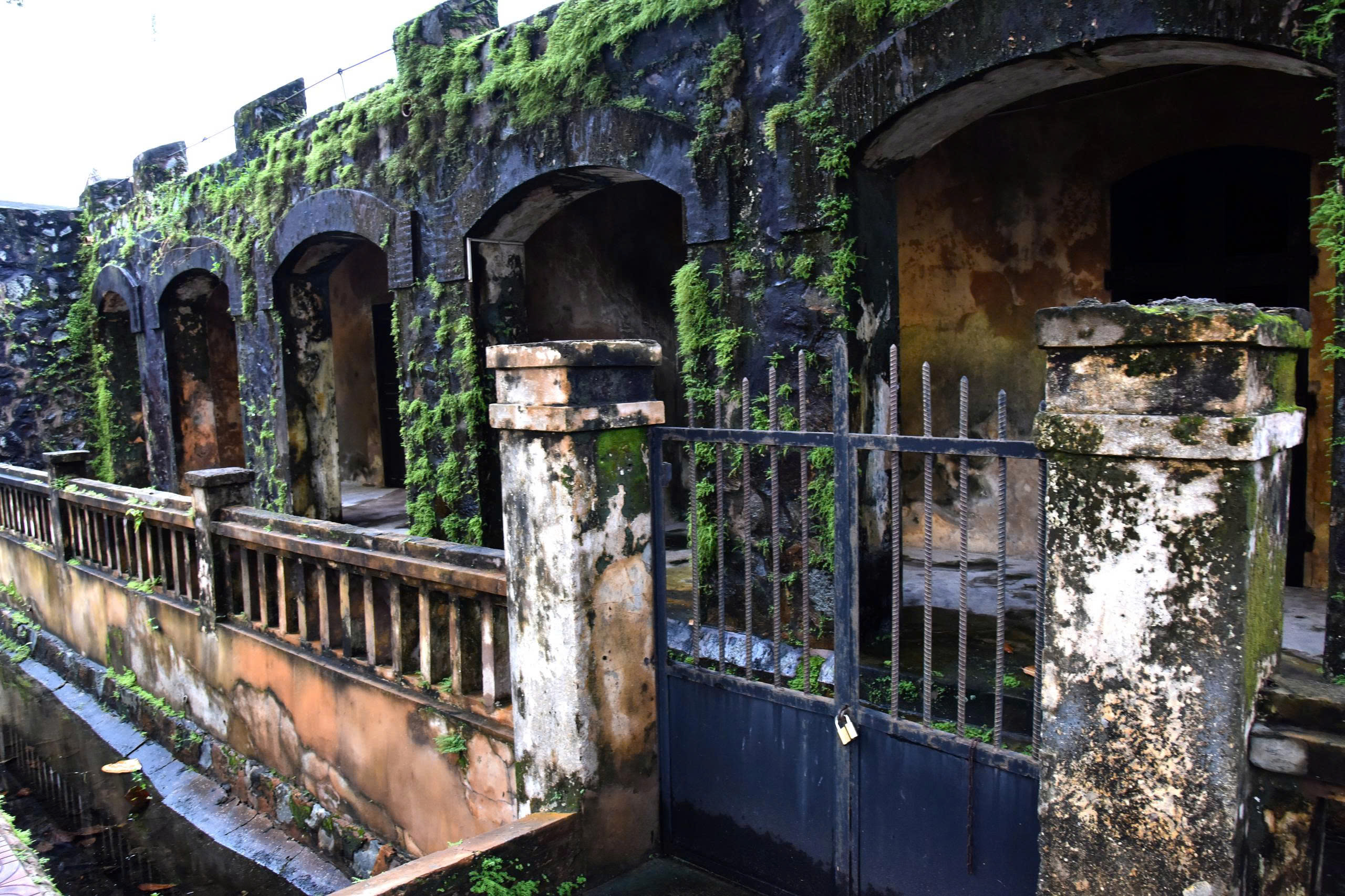 hanh huong ve dao ngoc giua trung khoi - 7