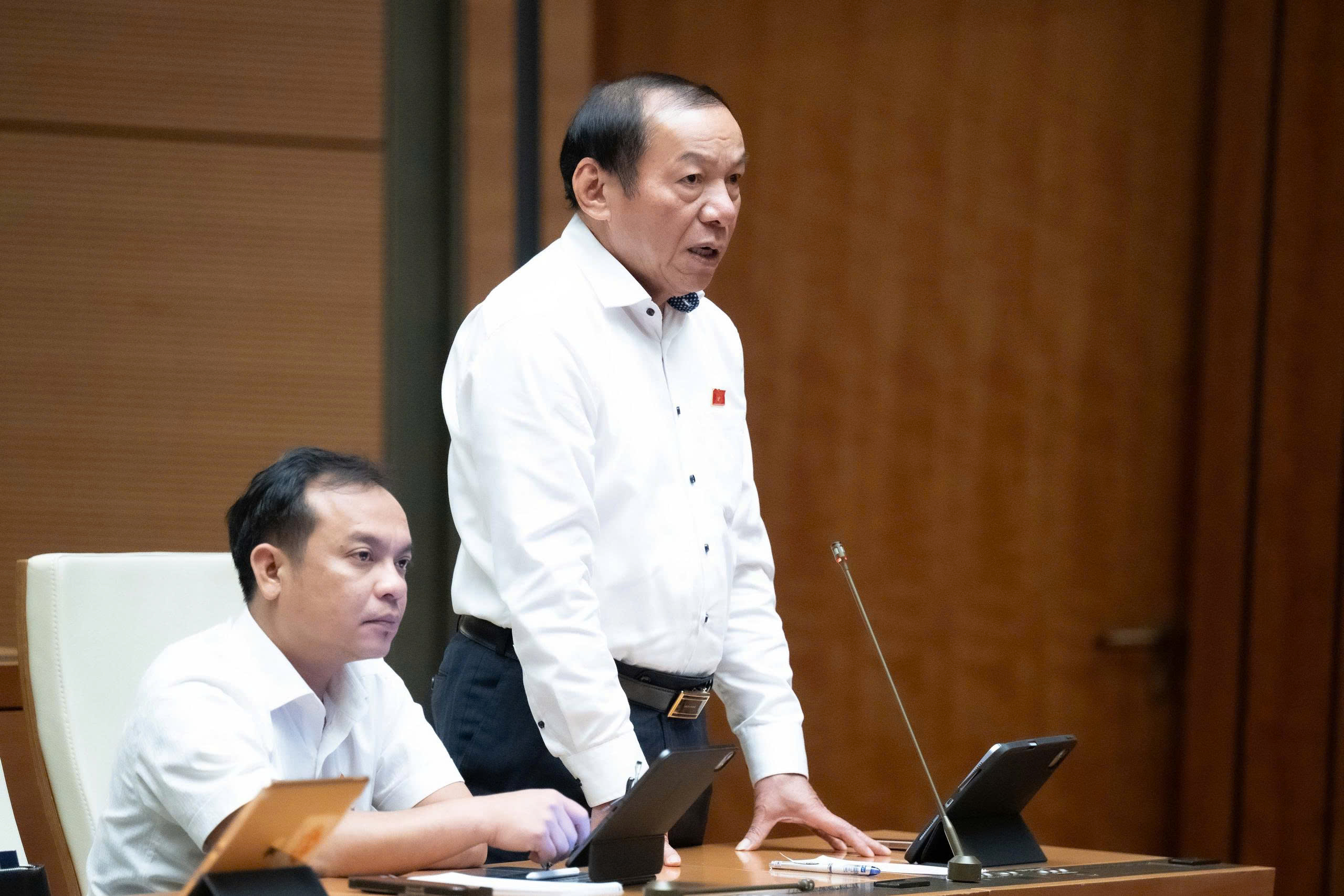 Đại biểu Quốc hội: Văn hóa và du lịch là sức mạnh mềm thúc đẩy Việt Nam trên trường quốc tế - 4