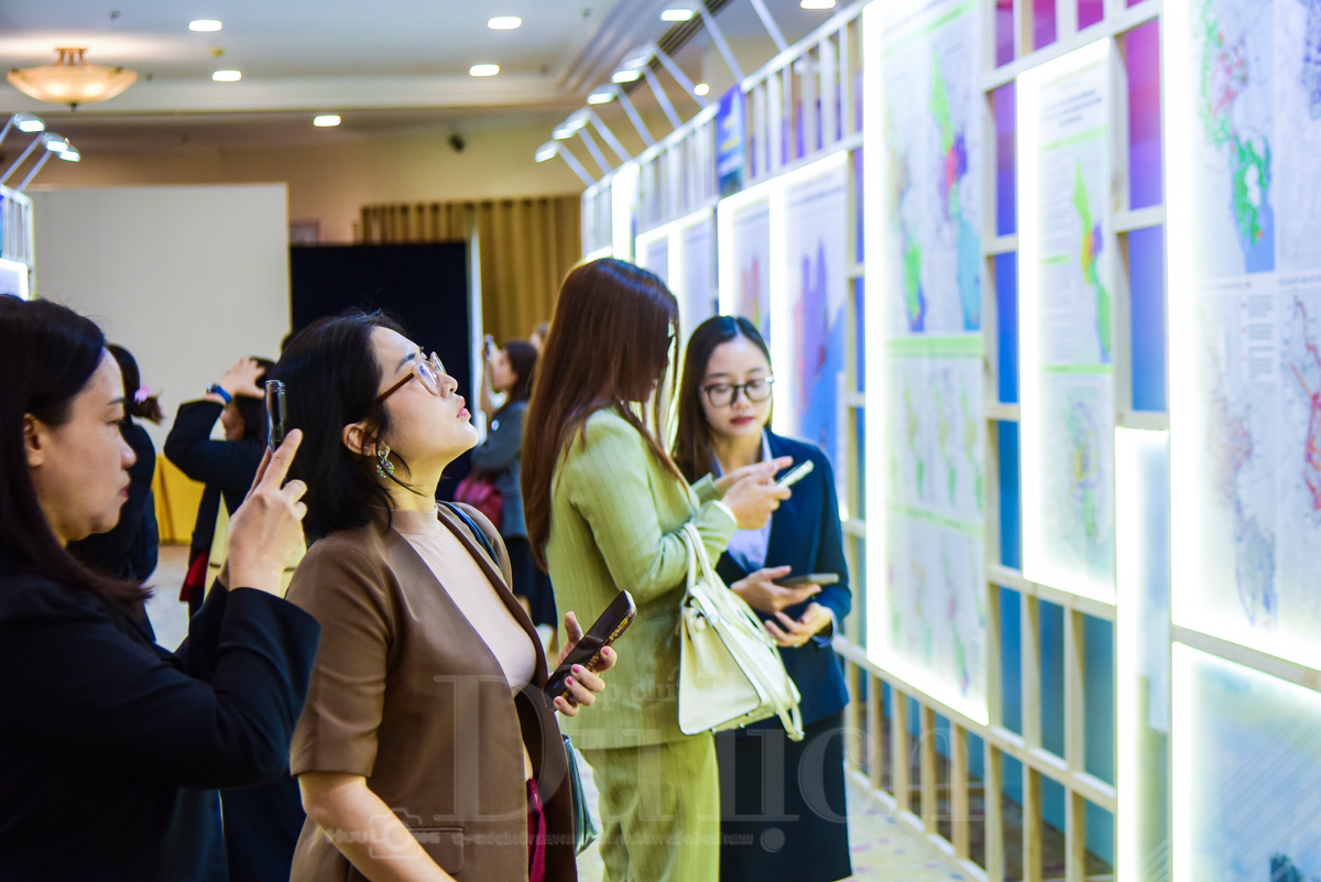 Định hình TP.HCM mới thành một thực thể hành chính - kinh tế đặc biệt - 5