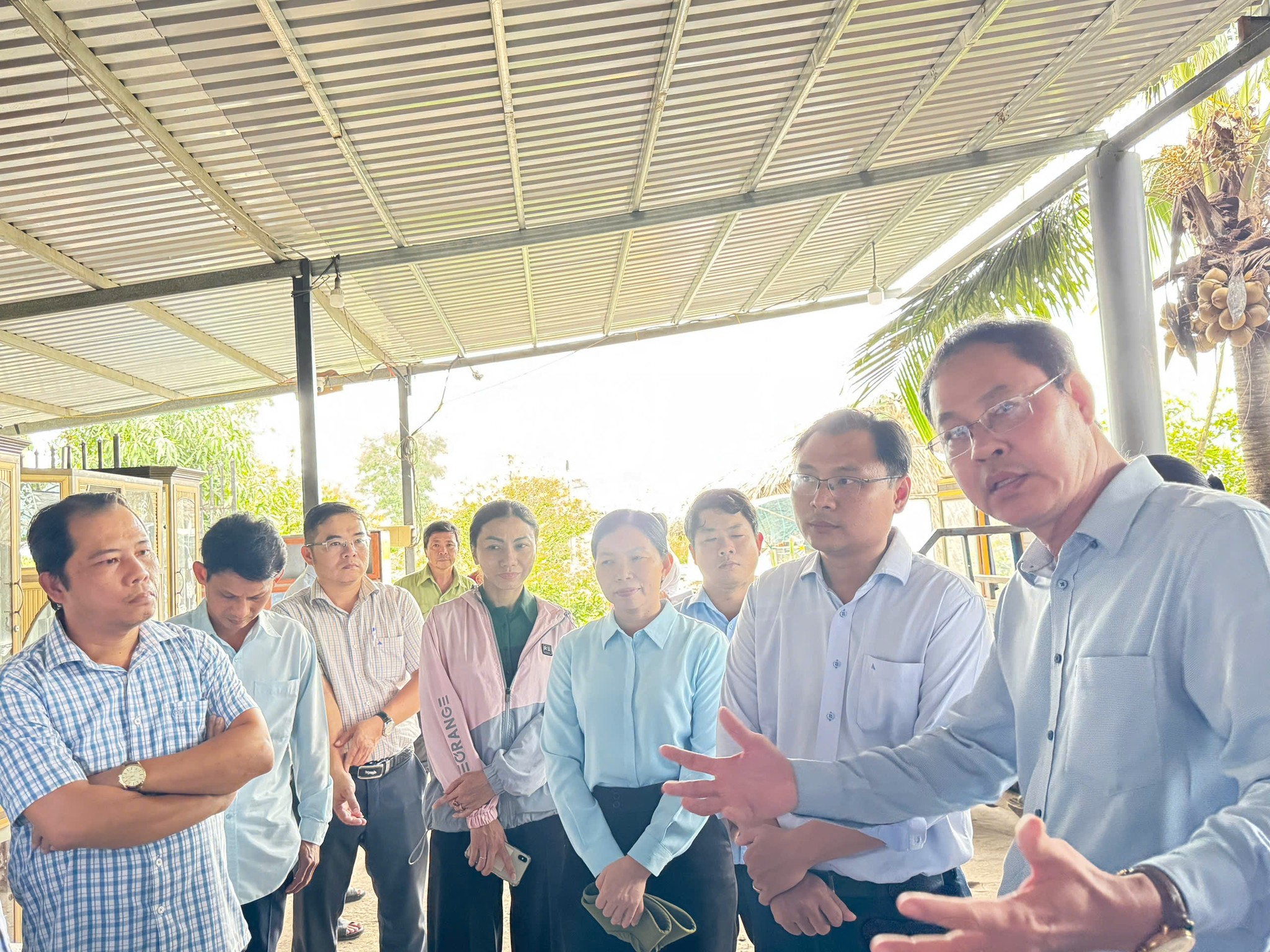 Nguy cơ thiệt hại hàng trăm tỷ đồng tại làng mai Bình Lợi - 2