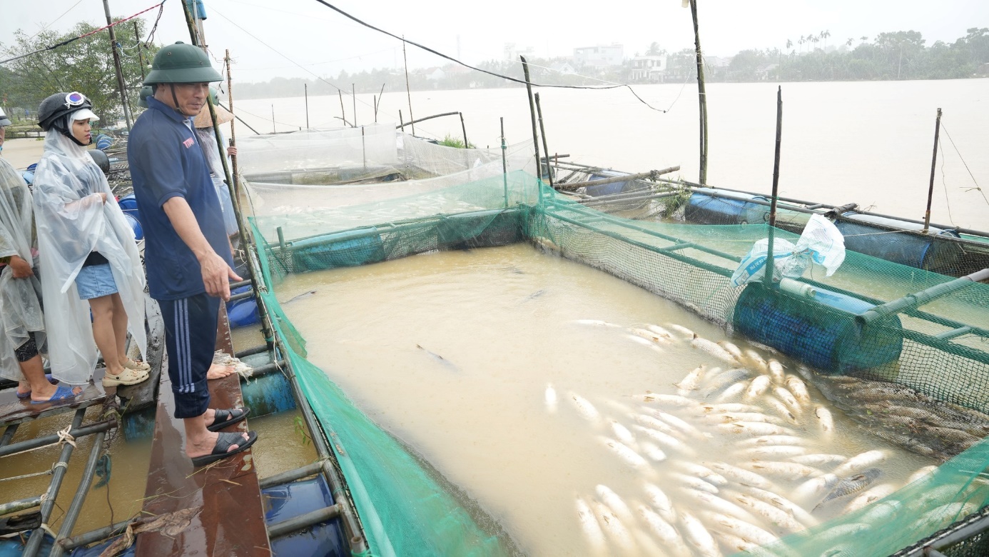 Thăm hỏi và động viên người dân nuôi cá lồng bị thiệt hại do mưa lũ - 2