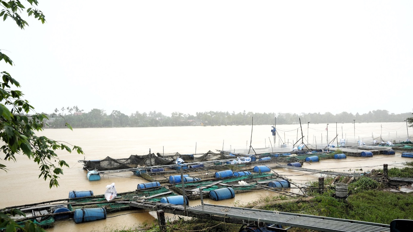 Thăm hỏi và động viên người dân nuôi cá lồng bị thiệt hại do mưa lũ - 1