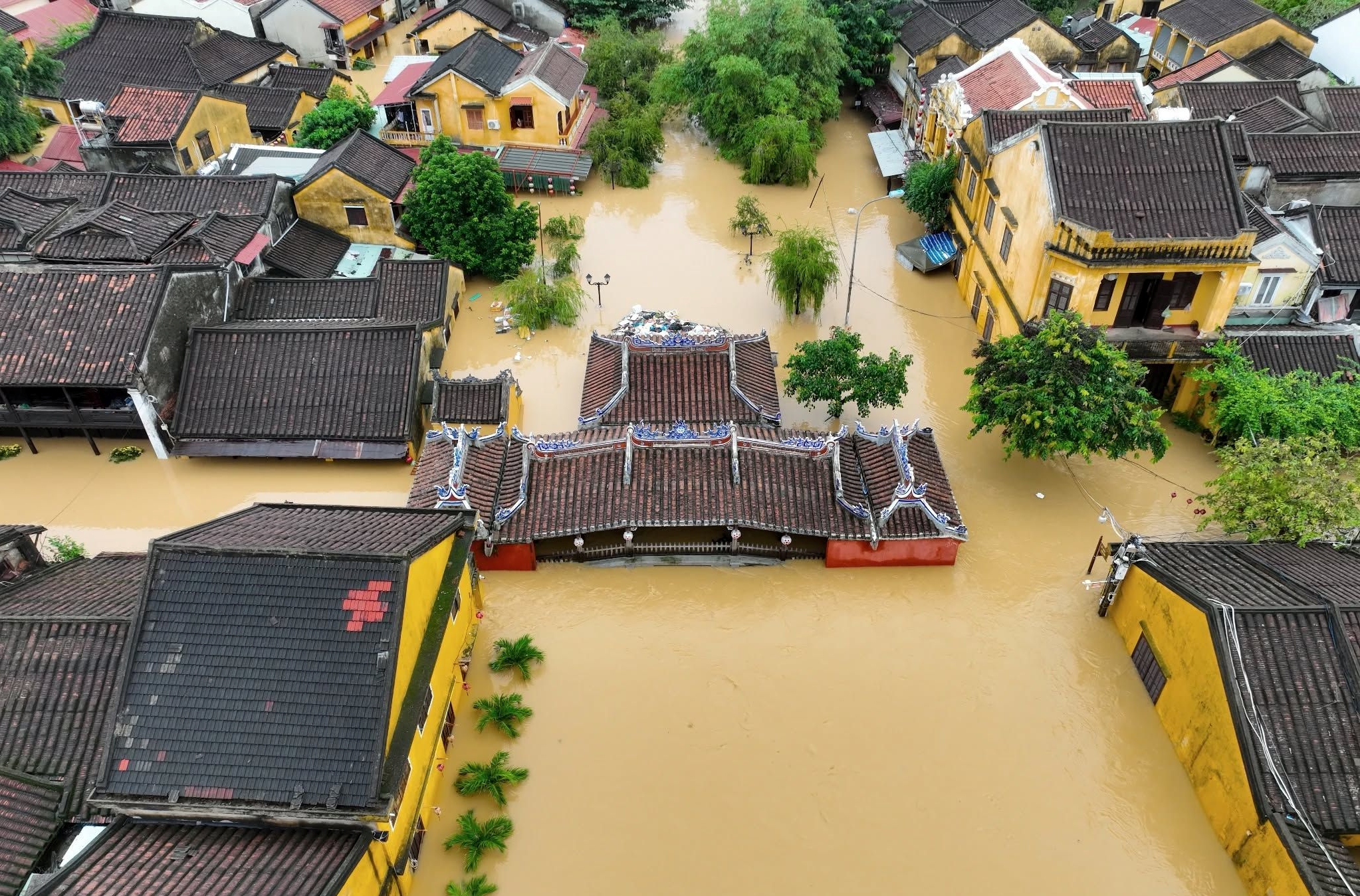 Hội An: Nước mắt trên phố và 'cơn đau' của di sản trăm tuổi - 6